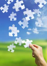 Solving the Tax Puzzle